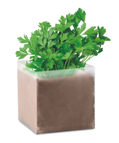 Substrat avec graines Persil personnalisable - Parsely