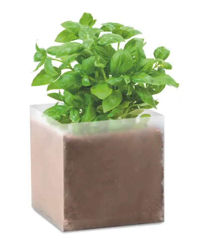 Substrat publicitaire avec graines Basilic - Basil