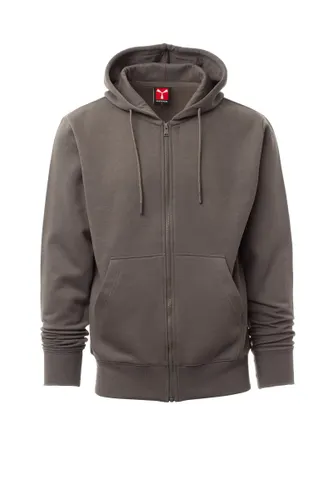 Sweat-shirt brossé personnalisé - PONTIAC