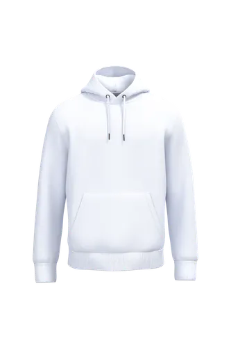 Sweat-shirt écoresponsable à capuche unisexe - Native Spirit
