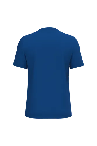 T-shirt à traitement antibactérien homme - WK. Designed To Work