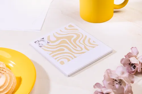 Taquin en RABS - Mazimi