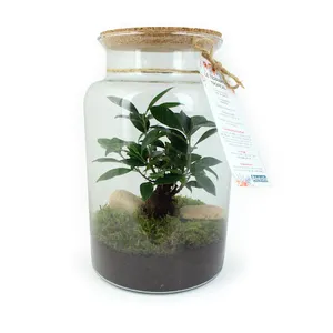 Terrarium grand modèle