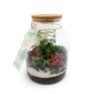 Terrarium modèle confort