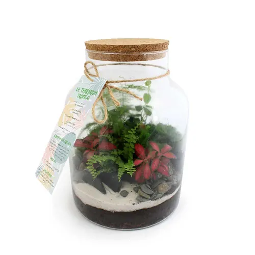 Terrarium modèle confort