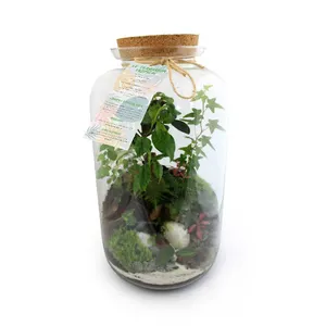 Terrarium modèle luxe