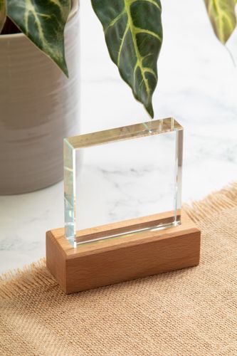 Trophée publicitaire - Rectofi