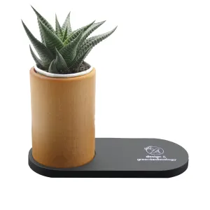 W17 - Chargeur 10W et plante dépolluante publicitaire de bureau | Bois / Noir